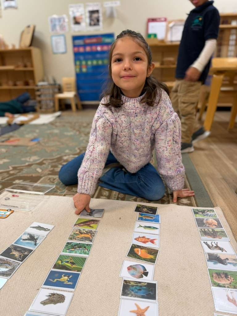 WhatsApp Image 2026 03 15 at 02.42.11