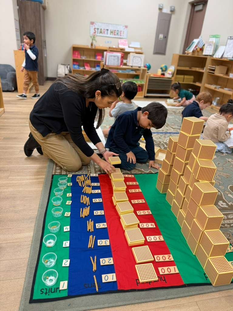 WhatsApp Image 2026 03 24 at 19.16.41