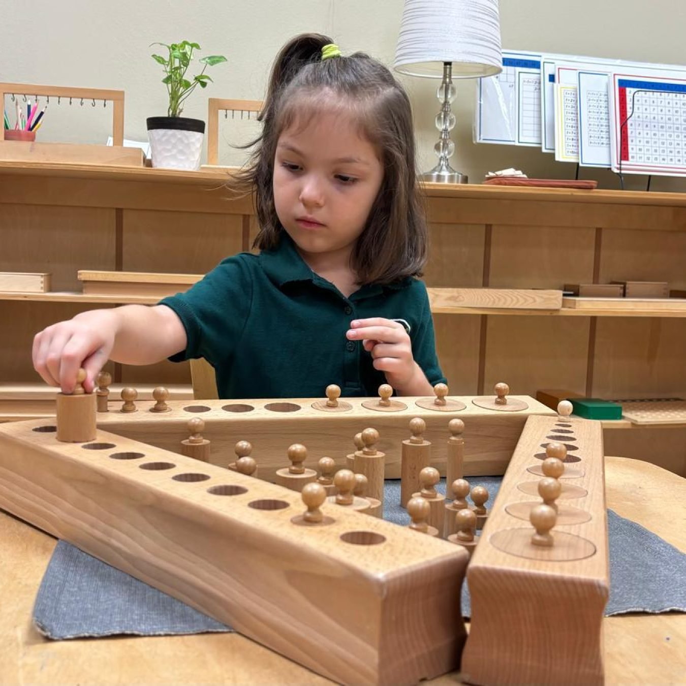 WhatsApp Image 2025-02-01 at 13.14.31 (1)